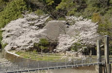 綾川荘の写真