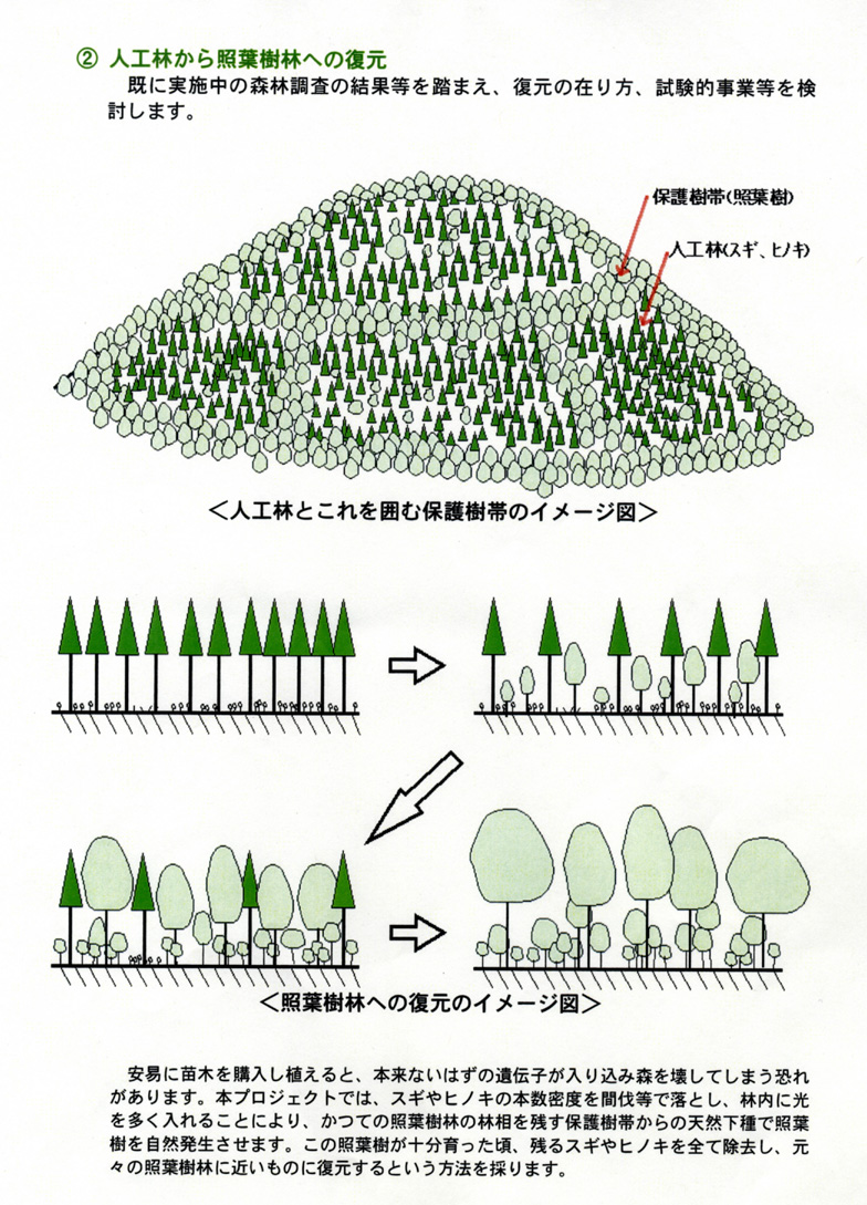 「綾の照葉樹林プロジェクト」（綾川流域照葉樹林帯保護・復元計画）発足までの歩みと概要の画像4