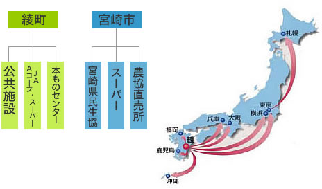 綾町と宮崎市の販路を示す表と日本地図の画像
