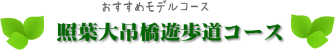 照葉大吊橋遊歩道コース