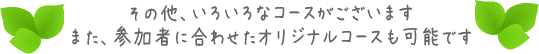 参加者に合わせたオリジナルコースも可能です。