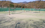 自然休養村公園テニスコートの画像