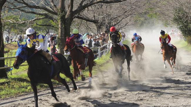 競馬写真