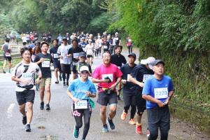 20km