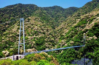 吊橋2