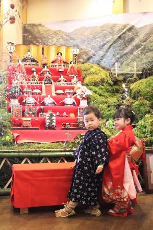 ふれあい館の雛山