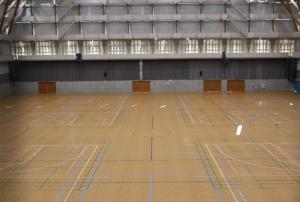 タラフレックス