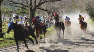 綾競馬