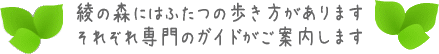 綾の森には2つのあるき方があります。それぞれ専門のガイドが案内します