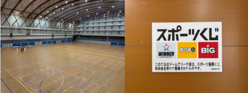 toto補助ドームアリーナ写真